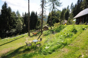 Almhütte Kreischberg, Sankt Georgen Ob Murau, Österreich